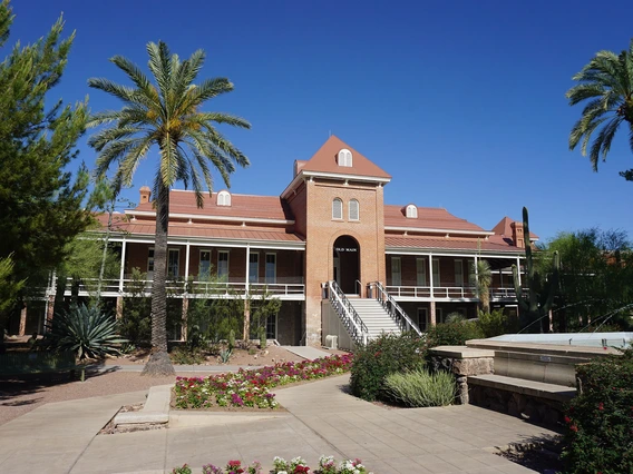 A green palm tree sways in the wind in front of a red brick building.
