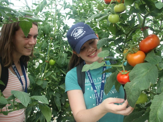 Biosystems engineering: aquaponics