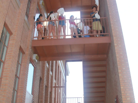Mechanical engineering: egg-drop competition