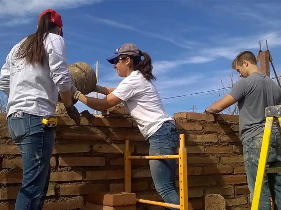 Three students wearing t-shirts and jeans stand on ladders to build a brick wall.