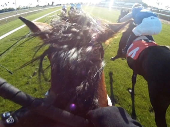 screen shot of horse race