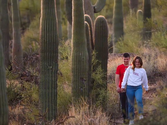 two University of Arizona students walk through a desert landscape