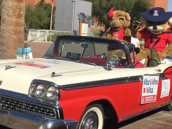 Wilma and Wilbur Wildcat