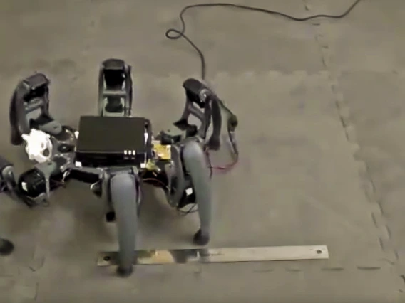 Hexapod robot