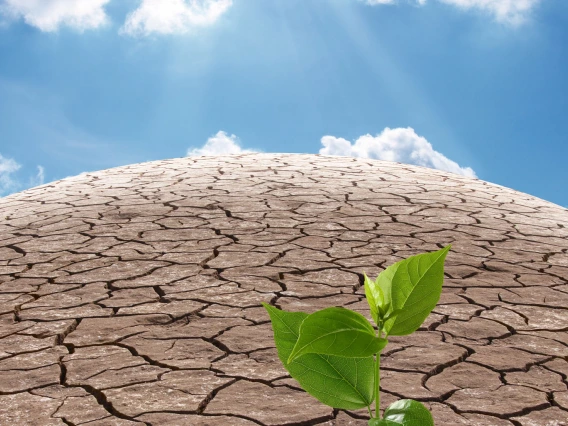 photo of arid land surface