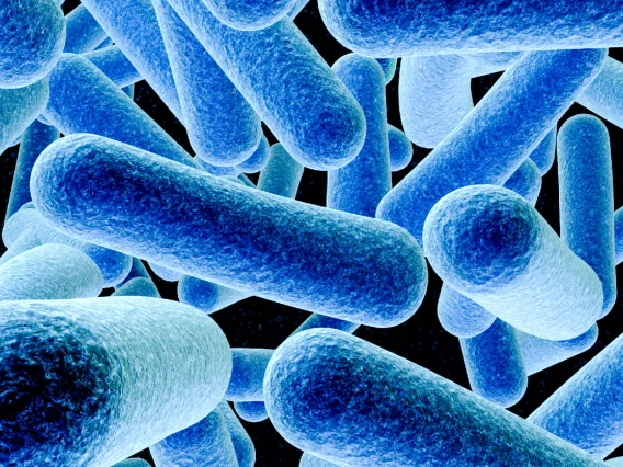 microbes