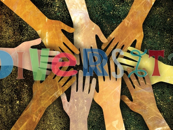 A graphic design of different colored hands coming together in the center, with the word "Diversity" over the top.