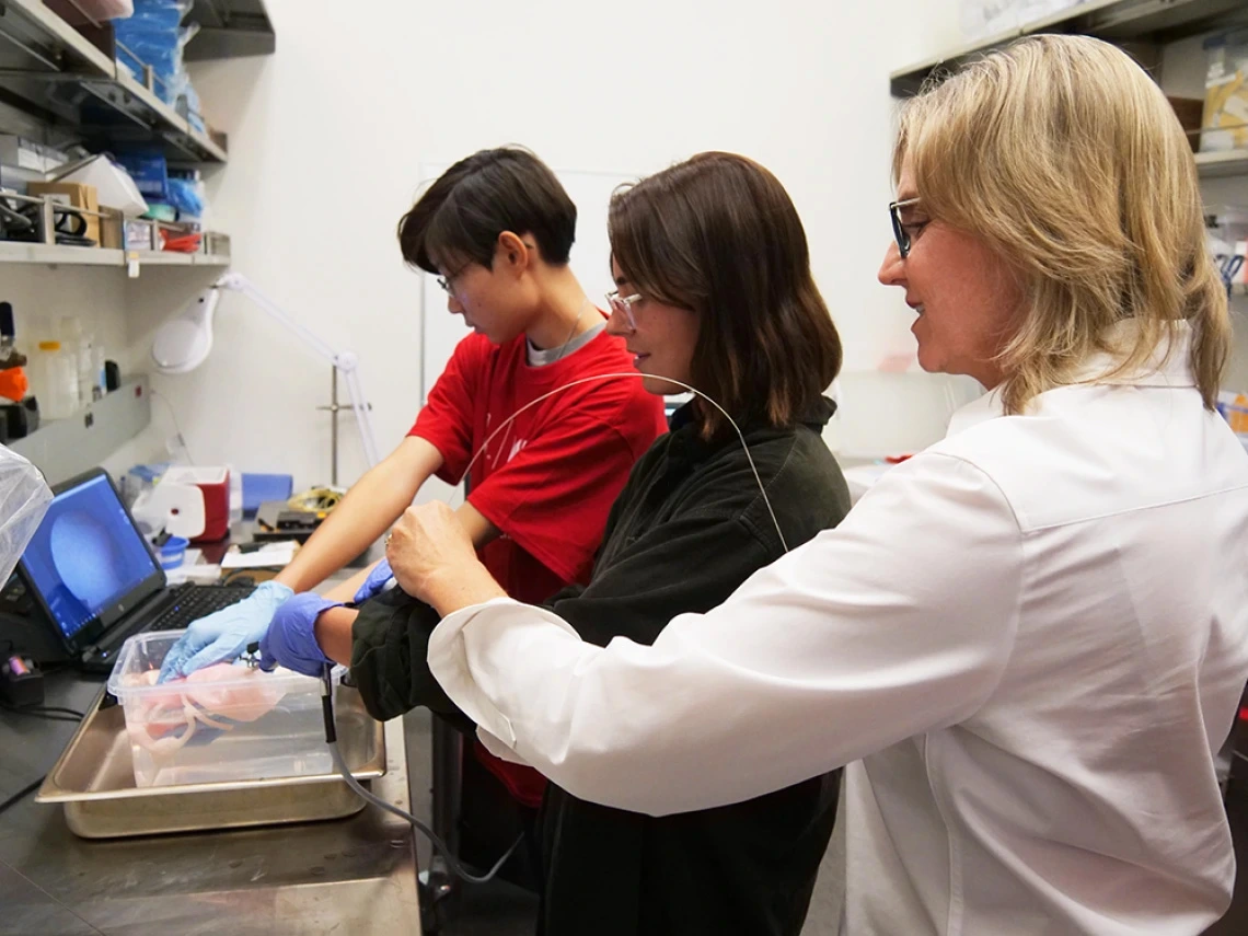 three people work in a science lab