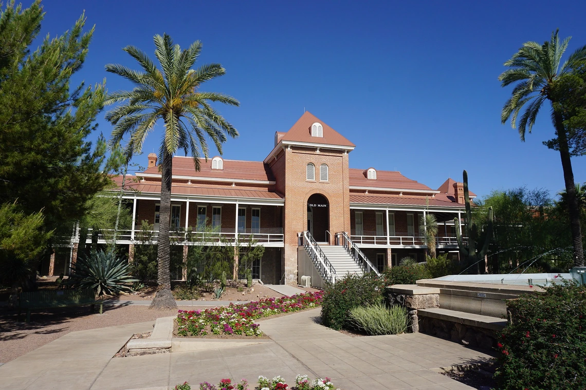 A green palm tree sways in the wind in front of a red brick building.