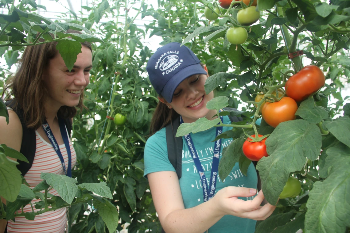 Biosystems engineering: aquaponics
