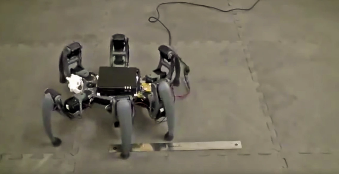 Hexapod robot