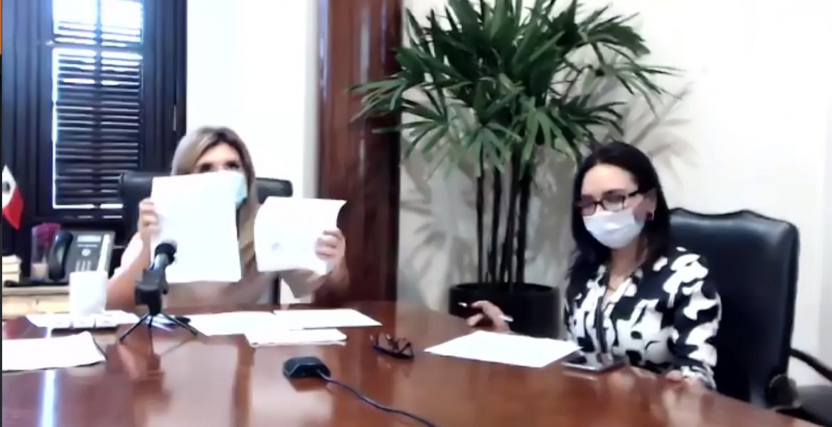 Blurry screencap of a Zoom meeting, in which two women wearing masks sit at a large table.