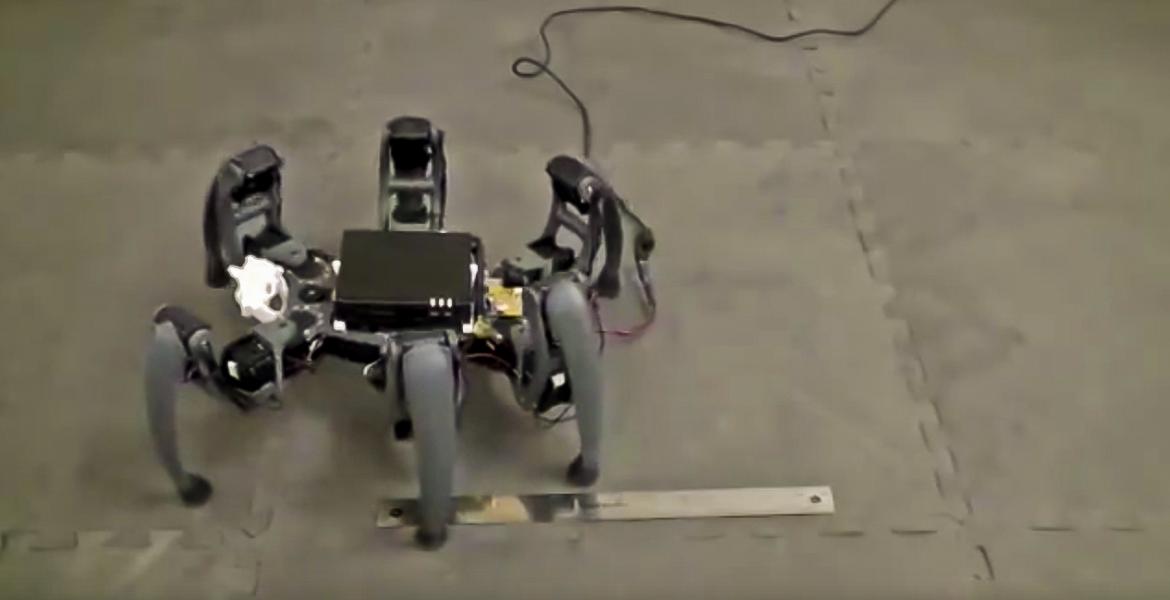 Hexapod robot