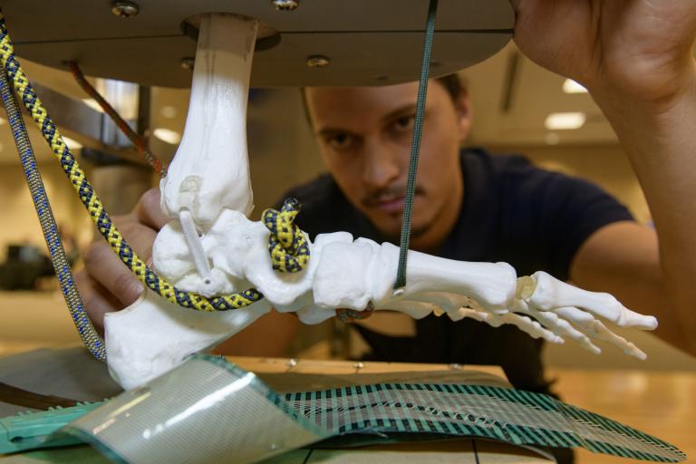 a model of the bones of a human foot in the foreground. In the background, a student is adjusting a set of ropes and strings attached to the foot.