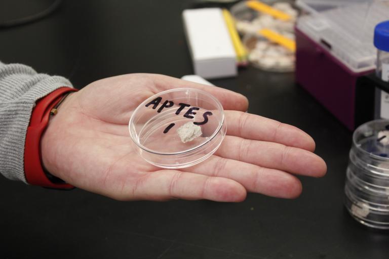 A hand holding a clear plastic circular container, about two inches in diameter. The container is labeled "APTES 1" and has a small white object in it, a type of sponge.