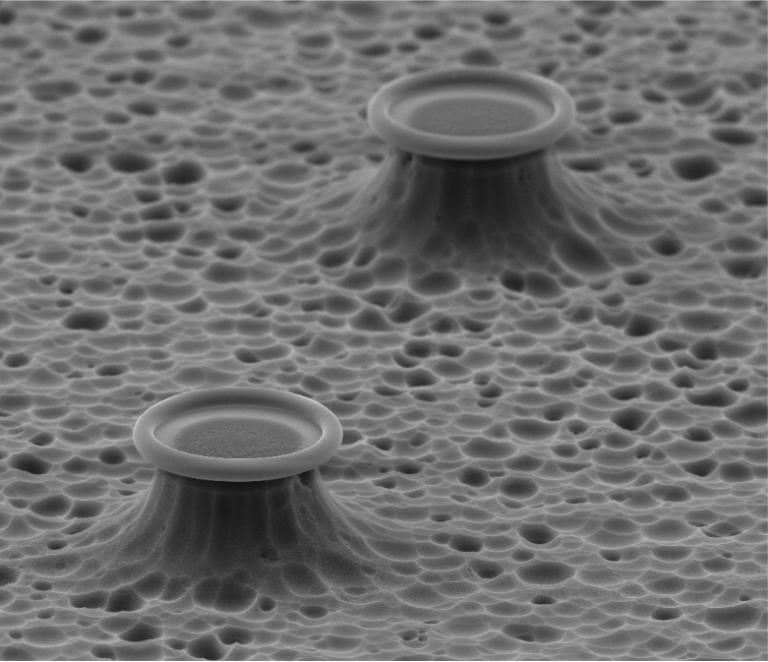  microtoroid optical resonators