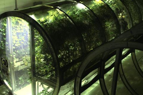 UA engineers build greenhouses like this for use on Mars someday