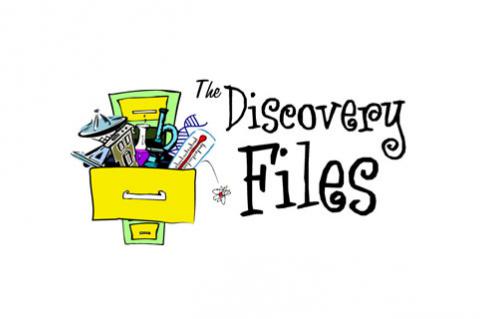 Discovery Files logo