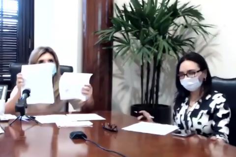 Blurry screencap of a Zoom meeting, in which two women wearing masks sit at a large table.