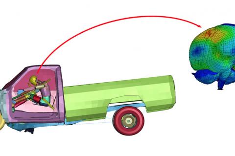A colorful simulation of a truck running into a wall with a person inside. On the right side of the image is a zoomed-in version of the driver's brain.