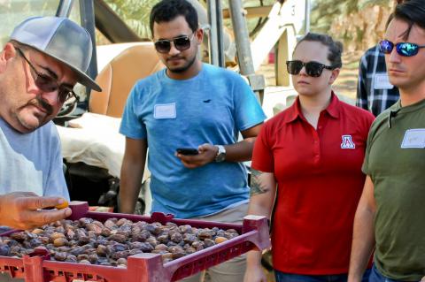 Students examine dates