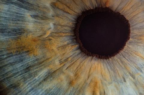 close up of eye