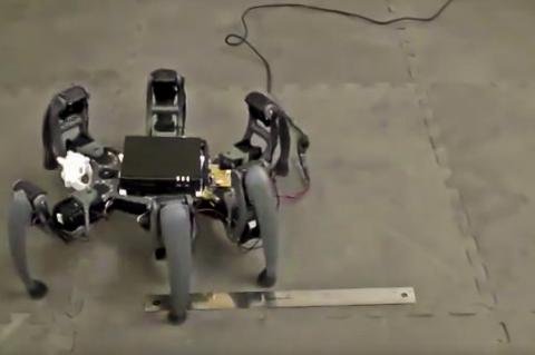 Hexapod robot