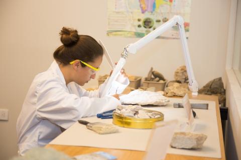 A young woman in a lab coat and goggles leans over a sample of rocks laid out on a table. They are lit up with a bright light shining from a flexible arm.