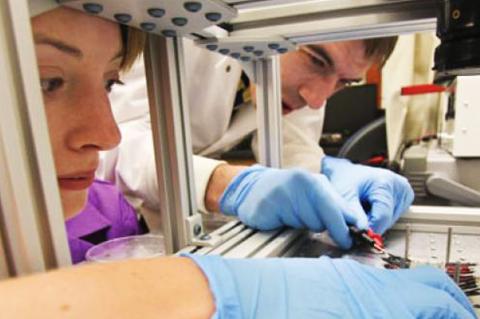 students in lab