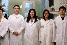 Five people in white lab coats pose for a photo in a lab.